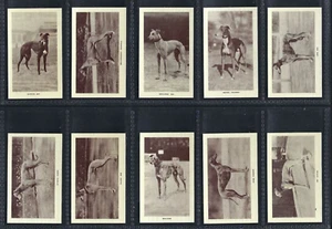 MORRIS (B) - RACING GREYHOUNDS - FULL SET OF 25 CARDS - Picture 1 of 6