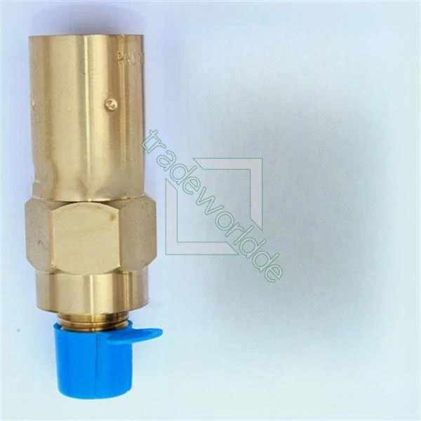 1PC REGO PRV9432F100C low temperature Dewar Pressure relief valve NEW - Image 1 of 1