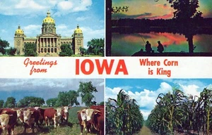 Postal multivew de saludos desde Iowa donde el maíz es el rey - Imagen 1 de 2