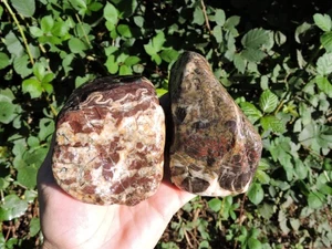 Pair of HIGH GRADE Naturally Water-Washed Agatized Jasper Stones (2 lb+ total) - Picture 1 of 24