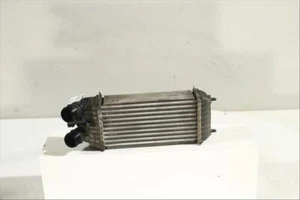 9803900780 intercooler para CITROEN C4 CACTUS 5P 14 0B 0P SHINE 10054146008745 - Foto 1 di 7