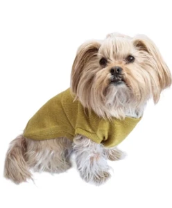 100% Baby Alpaka Wolle Sport Gewicht Hundepullover Farbe Senf - Bild 1 von 8