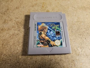 Fortress of Fear Gameboy - Picture 1 of 2