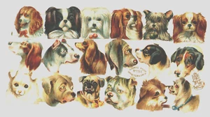 dog portraits die cut paper scraps Tuck gigantic relief 1191, artist Maquire - Picture 1 of 2