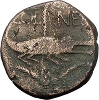 AUGUSTUS & AGRIPPA 10AD Nemasus Gaul CROCODILE Ancient Roman Coin  i57402