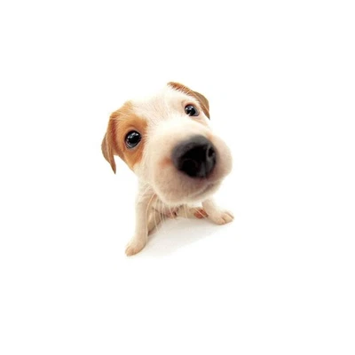 Greatest Hits (UK Edition) - Imagem 1 de 2