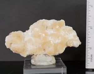 HEULANDITE & THOMSONITE (#40) Fine Zeolite Specimen from Aurangabad, India - Picture 1 of 2