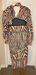 Nancy Yang Long Sleeve Tiger Print Stretch Waist Dress Women’s Size 2XL - Picture 1 of 9