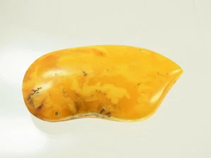 Schöner Butterscotch Egg Yolk Amber Bernstein aus Bernsteinsammlung 12,7  Gramm - Bild 1 von 8
