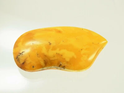Schöner Butterscotch Egg Yolk Amber Bernstein aus Bernsteinsammlung 12,7  Gramm - Bild 1 von 4