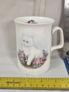 Taza de café Royal Westbury Fine Bone Chin Kitten Cat Inglaterra - Imagen 1 de 4