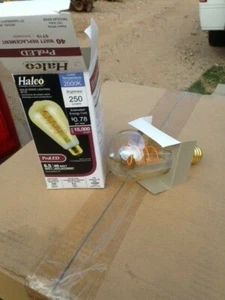 10 NEW LED 15000 hr. ST19 6.5 watt ProLed light bulb 2000K 250 lumens - Picture 1 of 1