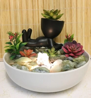 Fuente de agua de mesa Tranquility Little Human Suculenta ENVÍO GRATUITO #850 Foto 1 de 4