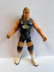 Wwe Billy Gunn Jakks Lucha Libre Juguete Acción Figura Ttl Clásico Serie Sr. B A - Imagen 1 de 4