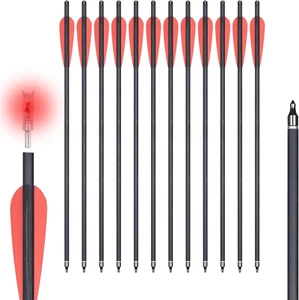 Crossbow Bolts 20 Inch(12Pcs) with Lighted Nocks(6Pcs), Carbon Crossbow Arrows f - Picture 1 of 12