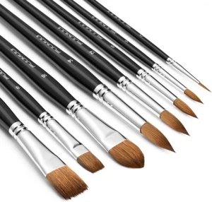 Sable Watercolor Brushes Professional, Fuumuui 8Pcs Kolinsky Sable Brush Set Var - Picture 1 of 7