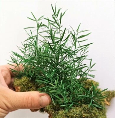 01 Magical Forest ? Plante De Jungle Avec Feuilles Vert Diorama Crèche Plastique - Photo 1/2