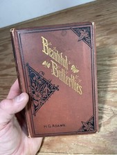 Beautiful Butterflies Described And Illustrated Hardcover H G Adams Groombridge