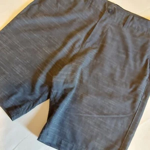 Hang Ten Hybrid Shorts leicht Stretch 10" Schrittlänge Herren Größe 32 grau gestreift - Bild 1 von 8