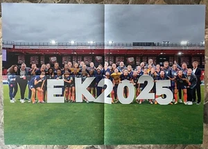 KNVB ORANGE SOCCER, RARE, 16 1/2" x 22" TWO SIDED POSTER, AMAZING TEAM ! - Picture 1 of 2