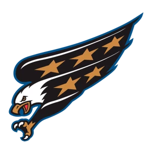 Washington Capitals NHL Weather Resistant Vinyl Die Cut Sticker Decal 02 - Picture 1 of 1