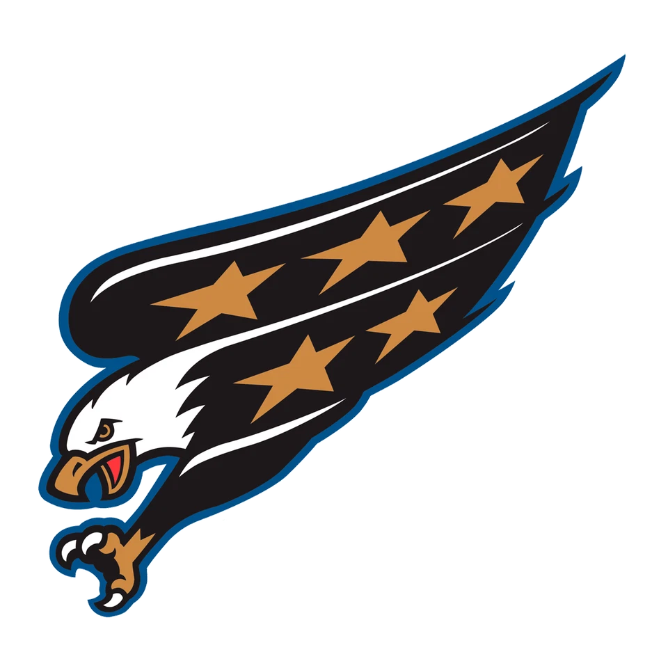 SSSCO Washington Capitals NHL Weather Resistant Vinyl Die Cut Sticker Decal 02