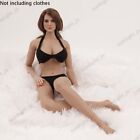 1/6 Sexy Female Figure Body Seamless XL Large Bust Doll 12''for Phicen Hot Toys