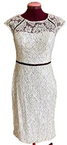 DB Studio Ivory Knee Length Allover Lace Sheath -Illusion Neck DRESS -Size 6 NWT - Picture 1 of 12