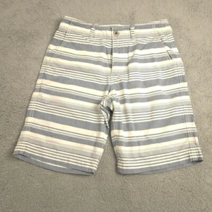 American Eagle Mens Classic Fit Shorts 30 Blue White Striped Cotton Casual - Picture 1 of 12