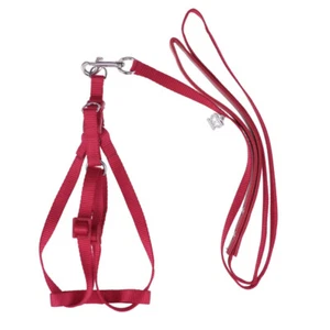 Harnais Réglable Pour Animaux De Compagnie Dressage Perroquet - Photo 1/12