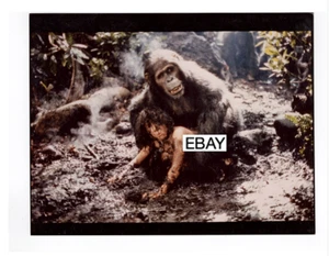 FOTO DE PELÍCULA DE COLECCIÓN GREYSTOKE LEYENDA DE TARZÁN SEÑOR DE LOS SIMIOS 1984 - Imagen 1 de 1