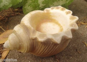 Latex shell candle holder Mold Plaster / rapid set cement all mould - Picture 1 of 2