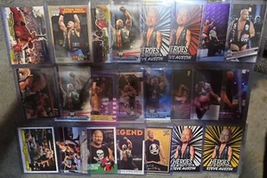 Lotto 23 carte Stone Cold Steve Austin WWE TOPPS LEAF PANINI - Foto 1 di 1