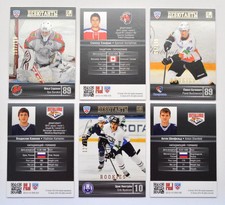 2013-14 KHL Gold Collection Rookies (#/199) Pick a Player Card