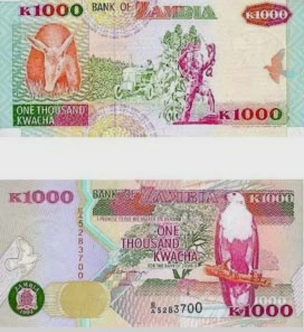 🔥50 PCS 🔥Zambia 1000 Kwacha 1992 P 40 UNCIRCULATED World Banknotes Aardvark Cover