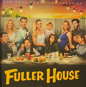 Fuller House FYC (For Your Emmy Consideration, DVD) FREE SAME-DAY SHIPPING! - Imagen 1 de 1