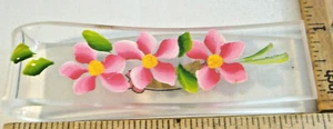 CLEAR PLASTIC CLIP WITH PINK FLOWERS~VINTAGE SOUVENIR OF MINNEAPOLIS MINN ~ 5 - Picture 1 of 4