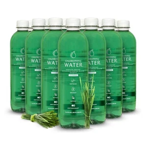 Purified Mountain Spring Water w/Liquid Chlorophyll & Vitamins A, B12, C, D |... - Picture 1 of 9