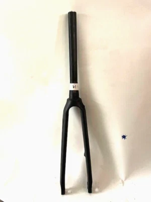 Horquilla de disco de carbono Fuji FC440 cónica x 300 mm 700c 100x12 mm TA FKC46 Foto 1 de 4