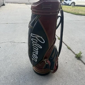 Classic Arnold Palmer Golf Bag ProGroup Hot-Z Full Size Carry Bag Vintage - Picture 1 of 15