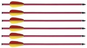 6 Stk Armbrustbolzen Bolzen für Armbrust 14 Zoll Aluminium 2018 - Bild 1 von 1