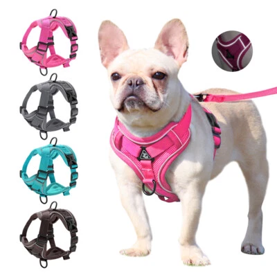 Hundegeschirr +Leine für kleine Hunde und Katzen Verstellbar Reflektierend Weste - Bild 1 von 4