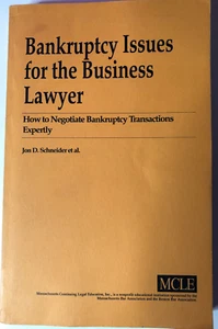 Bankruptcy Issues for the Business Bankruptcy Lawyer - Picture 1 of 4