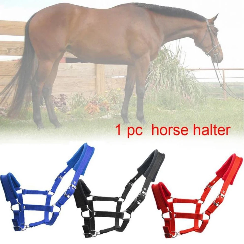 Premium Padded Pony Horse Halter Bridle Adjustable Headstall Head Collar Strap - image 1 of 1