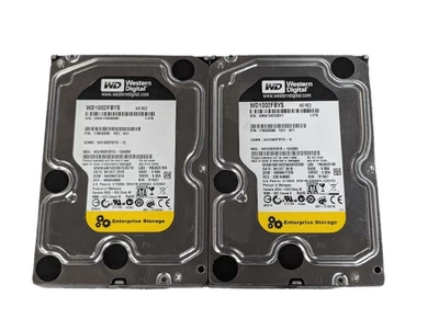 LOTE DE 2 discos rígidos Western Digital 1TB WD1002FBYS SATA II 3Gbps 3.5" corporativos - Imagem 1 de 3