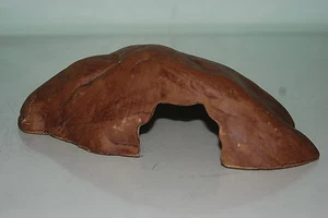 Medio Vivero Cueva Escondite Y Refugio 23 x 16 x 6.5 CM Adecuado Para Reptiles - Imagen 1 de 4