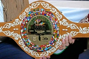 New Mexico 2024 WBC Tamaulipas Boxing Belt Replica - Picture 1 of 4