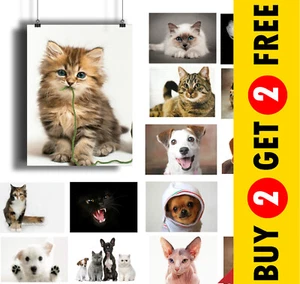 CARTELES DE ANIMALES MASCOTAS AMIGOS LINDOS RAZAS DE PERROS Y GATOS A3 A4 A5 * Impresiones artísticas de pared veterinaria - Imagen 1 de 47