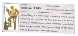 Funskool India General Flagg v.1 straniero FILE CARD originale GI/G.I. Joe JTC - Foto 1 di 2