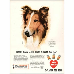 1947 Red Heart Dog Food: Lassie Thrives Vintage Print Ad - Picture 1 of 1
